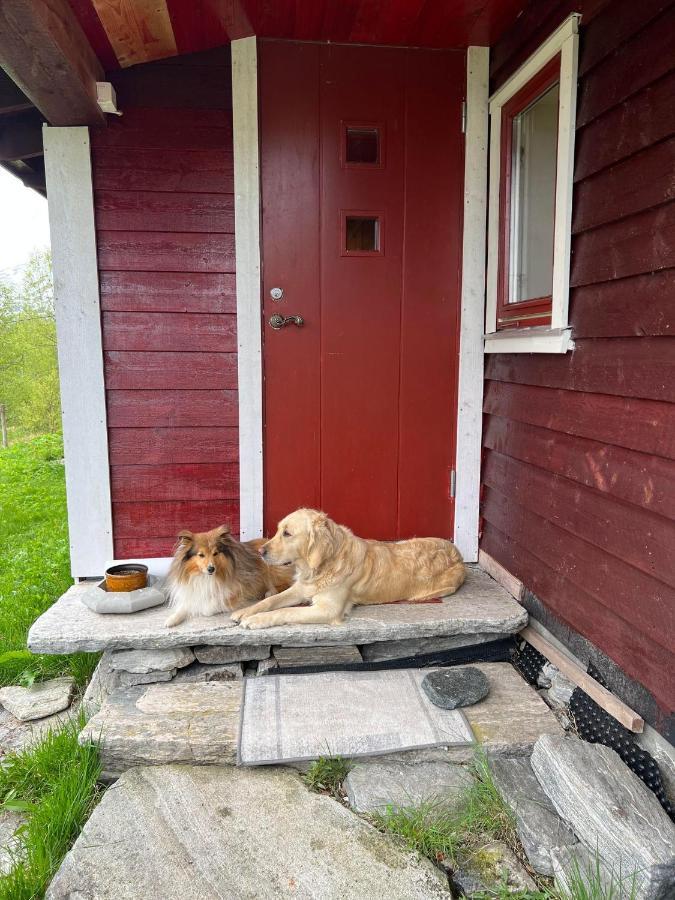 Ferienwohnung Bua Viksdalen Exterior foto