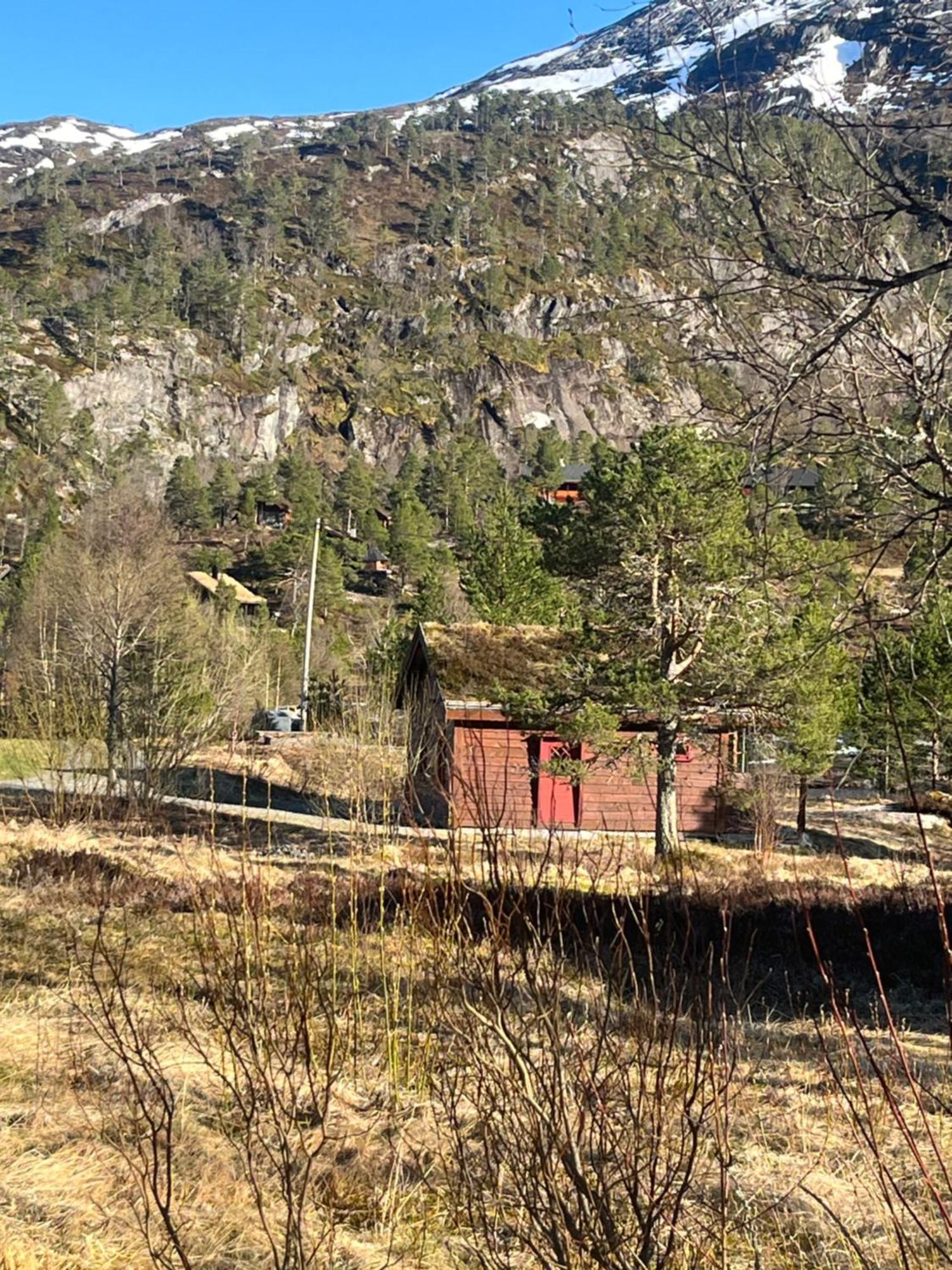 Ferienwohnung Bua Viksdalen Exterior foto